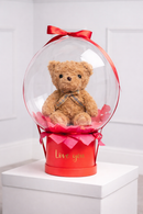 PLUSH TOY: LIGHT PLUSH TEDDY TOY 25CM