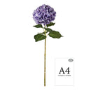 FLORAL: ELEGANZA LARGE HEAD HYDRANGEA LAVENDER