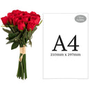 FLORAL: BEATRICE ROSE BUD BUNCH X 15 RED