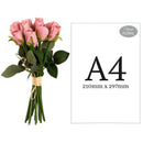 FLORAL: BEATRICE ROSE BUD BUNCH X 15 DUSKY PINK