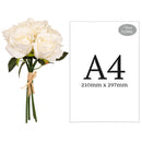 FLORAL: ELEGANZA EUGENIE ROSE BUNCH X 6 WHITE