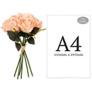FLORAL: ELEGANZA EUGENIE ROSE BUNCH X 6 CHAMPAGNE