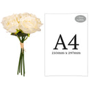 FLORAL: ELEGANZA EUGENIE ROSE BUNCH X 6 CREAM