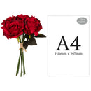 FLORAL: ELEGANZA EUGENIE ROSE BUNCH X 6 RED