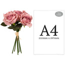 FLORAL: ELEGANZA EUGENIE ROSE BUNCH X 6 DUSKY PINK
