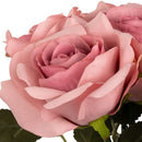 FLORAL: ELEGANZA EUGENIE ROSE BUNCH X 6 DUSKY PINK