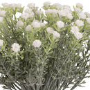 FLORAL: ELEGANZA MINI OPEN GYPSOPHILIA BUNCH X 6 WHITE 33CM