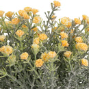 FLORAL: ELEGANZA MINI OPEN GYPSOPHILIA BUNCH X 6 YELLOW 33CM