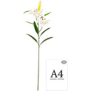 FLORAL: ELEGANZA LILY STEM X 2, 1 BUD & 7 LEAVES WHITE