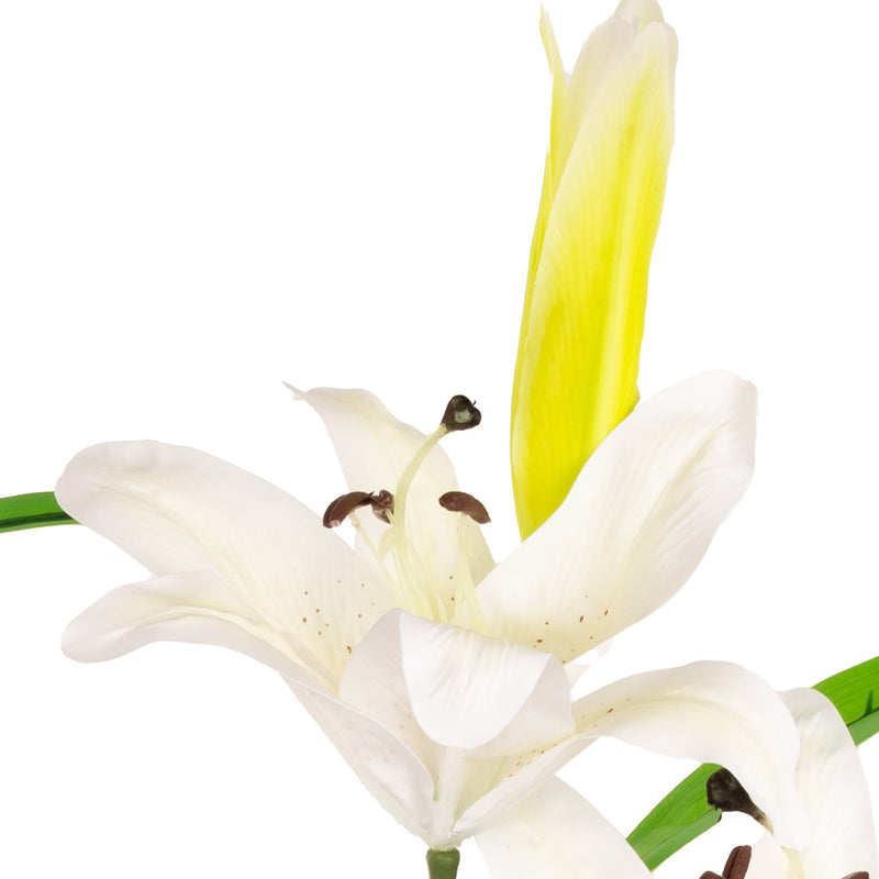FLORAL: ELEGANZA LILY STEM X 2, 1 BUD & 7 LEAVES WHITE
