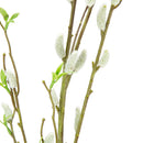 FLORAL: PUSSY WILLOW SPRAY