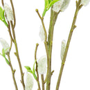 FLORAL: PUSSY WILLOW SPRAY
