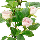 FLORAL: ELEGANZA ROSE SPRAY WITH 6 HEADS CREAM/LIGHT PINK