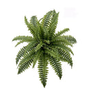 FLORAL: 18" BOSTON FERN 18 LEAVES