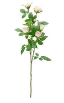 FLORAL: ELEGANZA ROSE SPRAY WITH 6 HEADS CREAM/LIGHT PINK