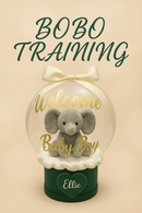 TRAINING COURSE: BOBO TRAINING (UP TO 3 ATTENDEES)