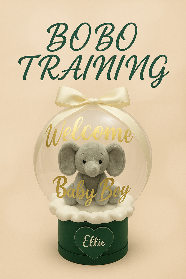 TRAINING COURSE: BOBO TRAINING (UP TO 3 ATTENDEES)