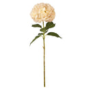 FLORAL: ELEGANZA LARGE HEAD HYDRANGEA CREAM/PINK
