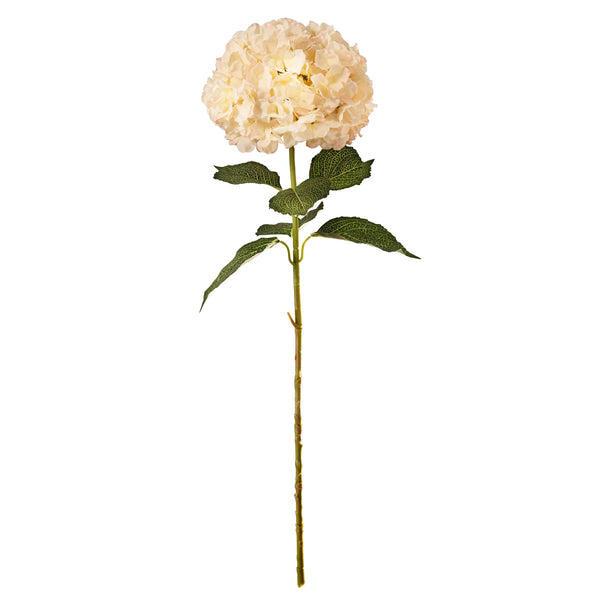 FLORAL: ELEGANZA LARGE HEAD HYDRANGEA CREAM/PINK