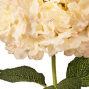 FLORAL: ELEGANZA LARGE HEAD HYDRANGEA CREAM/PINK