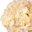 FLORAL: ELEGANZA LARGE HEAD HYDRANGEA CREAM/PINK