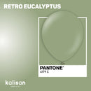 5" KALISAN RETRO EUCALYPTUS LATEX (100 PER BAG)