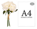 FLORAL: EUGENIE ROSE BUD BUNCH X 6 WHITE