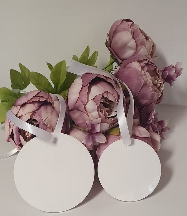 TAGS: WHITE TAGS WITH HOLE 100MM (PACK OF 10)