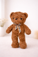 PLUSH TOY: DARK PLUSH TEDDY TOY 25CM