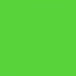 VINYL: APPLE GREEN GLOSS OPAQUE VINYL 305MM X 5M