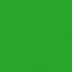 VINYL: BRIGHT GREEN GLOSS OPAQUE VINYL 305MM X 5M