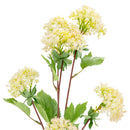 FLORAL: SNOWBALL SPRAY x 6 CREAM