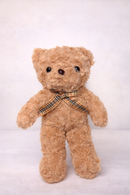 PLUSH TOY: LIGHT PLUSH TEDDY TOY 25CM