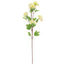 FLORAL: SNOWBALL SPRAY x 6 CREAM