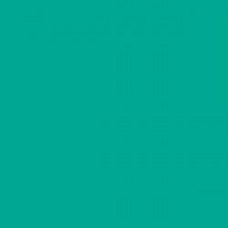 Aqua Green Matt Opaque Vinyl 305mm X 5m