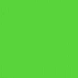 Apple Green Matt Opaque Vinyl 305mm X 5m
