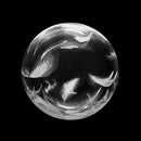 18" Printed White Feather Eirloon